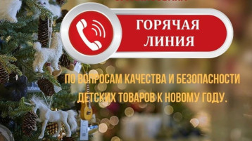 Анонс «горячей линии» по вопросам качества и безопасности детских товаров, выбору новогодних подарков. Анонс «горячей линии» по вопросам качества и безопасности детских товаров, выбору новогодних подарков.